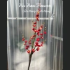 Cành Hoa Đào Cổ Mai Cổ Giả Cắm Bình Trang Trí Tết Nhà Cửa Giá 75.000₫ Hà Hoa Flower 6