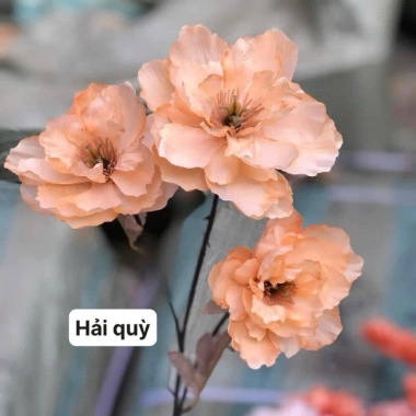 Cành Hoa Hải Quỳ/Lili Giả 3 Bông 66cm - Trang trí nhà, văn phòng, tiệm, giá 20.900đ 3 Cành Hoa Hải Quỳ/Lili Giả 3 Bông 66cm - Trang trí nhà, văn phòng, tiệm, giá 20.900đ 3