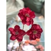 Cành Hoa Hải Quỳ/Lili Giả 3 Bông 66cm - Trang trí nhà, văn phòng, tiệm, giá 20.900đ 10