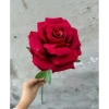 Cành hoa hồng giả 1 bông cao 60cm – Trang trí bàn, phòng khách, giảm giá 15.000₫