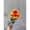 Cành hoa hồng giả 1 bông cao 60cm – Trang trí bàn, phòng khách, giảm giá 15.000₫ 2