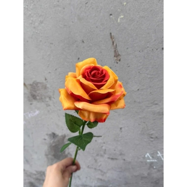 Cành hoa hồng giả 1 bông cao 60cm – Trang trí bàn, phòng khách, giảm giá 15.000₫ 2 Cành hoa hồng giả 1 bông cao 60cm – Trang trí bàn, phòng khách, giảm giá 15.000₫ 2
