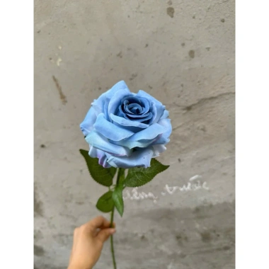 Cành hoa hồng giả 1 bông cao 60cm – Trang trí bàn, phòng khách, giảm giá 15.000₫