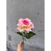 Cành hoa hồng giả 1 bông cao 60cm – Trang trí bàn, phòng khách, giảm giá 15.000₫ 4
