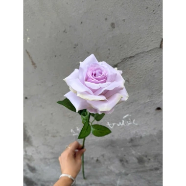 Cành hoa hồng giả 1 bông cao 60cm – Trang trí bàn, phòng khách, giảm giá 15.000₫