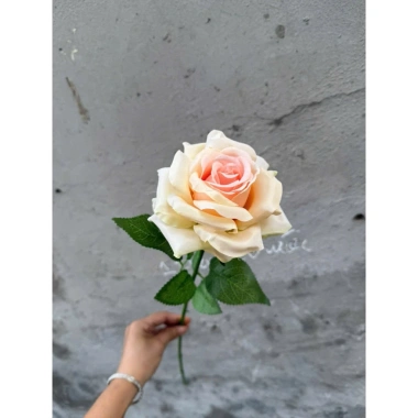 Cành hoa hồng giả 1 bông cao 60cm – Trang trí bàn, phòng khách, giảm giá 15.000₫