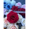 Cành hoa hồng giả 1 bông cao 60cm – Trang trí bàn, phòng khách, giảm giá 15.000₫ 7