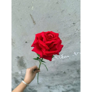 Cành hoa hồng giả 1 bông cao 60cm – Trang trí bàn, phòng khách, giảm giá 15.000₫