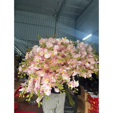 Cành Hoa Lan Hồ Điệp Cao Su - Trang Trí Tết Bính Ngọ 2.026, Giá Ưu Đãi 44.500₫ 6 Cành Hoa Lan Hồ Điệp Cao Su - Trang Trí Tết Bính Ngọ 2.026, Giá Ưu Đãi 44.500₫ 6