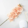 Cành Hoa Lan Hồ Điệp Đỏ Trang Trí Tết, Đám Cưới, Lễ Hội Phụ kiện 6.688 9.500 VND 3