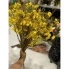 Cành Hoa Mai Mỹ giả siêu đẹp - Trang trí nhà cửa, tết, giảm còn 48.000đ 6