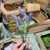Cành hoa oải hương Lavender giả 5 đầu lá nhựa nhân tạo - Trang trí bình đẹp, 11.300₫ 10