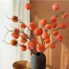 Cành Hồng Giả Dẹt 7 Quả Cao Cấp CASTA FLOWER - Thân Mùn Đẹp Trang Trí Nhà Cửa Giá 72.400 VND 6