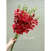 Cành LAN HẢI ĐƯỜNG, Lan Hồ Điệp Lụa trang trí nhà cửa ngày Tết, giá 18.000 VND