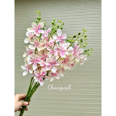 Cành LAN HẢI ĐƯỜNG, Lan Hồ Điệp Lụa trang trí nhà cửa ngày Tết, giá 18.000 VND 2
