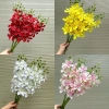 Cành LAN HẢI ĐƯỜNG, Lan Hồ Điệp Lụa trang trí nhà cửa ngày Tết, giá 18.000 VND 4