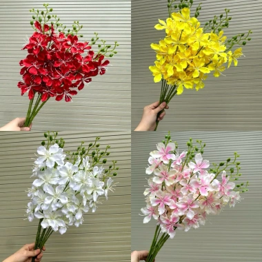 Cành LAN HẢI ĐƯỜNG, Lan Hồ Điệp Lụa trang trí nhà cửa ngày Tết, giá 18.000 VND 4