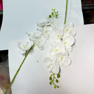 Cành LAN HẢI ĐƯỜNG, Lan Hồ Điệp Lụa trang trí nhà cửa ngày Tết, giá 18.000 VND 6