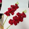 Cành LAN HẢI ĐƯỜNG, Lan Hồ Điệp Lụa trang trí nhà cửa ngày Tết, giá 18.000 VND 7