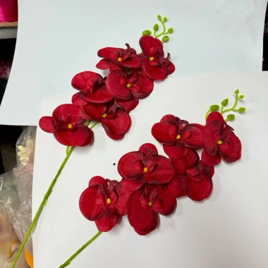 Cành LAN HẢI ĐƯỜNG, Lan Hồ Điệp Lụa trang trí nhà cửa ngày Tết, giá 18.000 VND 7