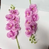 Cành LAN HẢI ĐƯỜNG, Lan Hồ Điệp Lụa trang trí nhà cửa ngày Tết, giá 18.000 VND 8