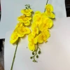 Cành LAN HẢI ĐƯỜNG, Lan Hồ Điệp Lụa trang trí nhà cửa ngày Tết, giá 18.000 VND 9