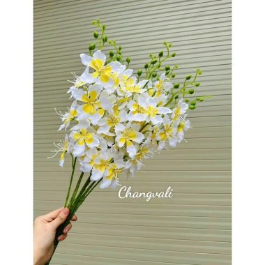 Cành LAN HẢI ĐƯỜNG, Lan Hồ Điệp Lụa trang trí nhà cửa ngày Tết, giá 18.000 VND 10