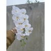 Cành Lan Hồ Điệp 9 bông - Lan Xoăn hoa lụa giả, decor nội thất, giá chỉ 15.555đ 5