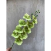 Cành Lan Hồ Điệp 9 bông - Lan Xoăn hoa lụa giả, decor nội thất, giá chỉ 15.555đ 9