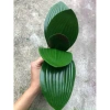 Cành Lan Hồ Điệp 9 bông - Lan Xoăn hoa lụa giả, decor nội thất, giá chỉ 15.555đ 10