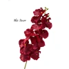 Cành lan lụa xoăn cao cấp - Độ bền mạnh, vẻ đẹp tự nhiên, giá chỉ 35.500 6
