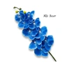 Cành lan lụa xoăn cao cấp - Độ bền mạnh, vẻ đẹp tự nhiên, giá chỉ 35.500 7