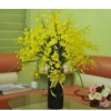 Cành lan vũ nữ giả 10 cành 65cm - 3 nhánh trang trí nội thất, giá ưu đãi 52.000₫ 4