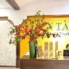 Cành lựu giả cao cấp 6 quả giống thật 99% - Trang trí Tết sang trọng, may mắn, tài lộc - 69.000đ 2