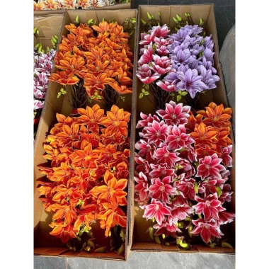 Cành Mộc Hương Su, Mộc Sao, Mộc Lan Kép - Trang Trí Tháp Bánh Nước Tết, Giá Khuyến Mãi 85.000₫ 5