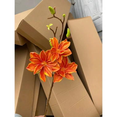 Cành Mộc Hương Su, Mộc Sao, Mộc Lan Kép - Trang Trí Tháp Bánh Nước Tết, Giá Khuyến Mãi 85.000₫ 7