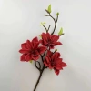 Cành Mộc Hương Su, Mộc Sao, Mộc Lan Kép - Trang Trí Tháp Bánh Nước Tết, Giá Khuyến Mãi 85.000₫ 9