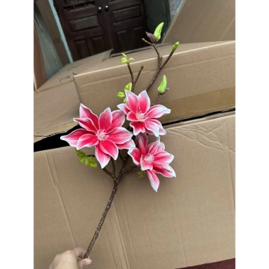 Cành Mộc Hương Su, Mộc Sao, Mộc Lan Kép - Trang Trí Tháp Bánh Nước Tết, Giá Khuyến Mãi 85.000₫ 10