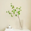 Cành thạch nam decor nhà cửa - Cành lá giả xinh xắn, cắm bàn, giảm còn 25k (giá gốc 32k) - Endy shop 2