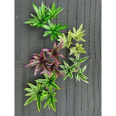 Cành Thuỷ Trúc 3 Nhánh Cao 70cm - Lá Giả Trang Trí, Giá Giảm 35.000 VNĐ, Thêm Không Gian Xanh Tự Nhiên 6