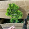 Cành tùng giả lá kim nhựa xanh bonsai tiểu cảnh sân vườn giống 100% giá 13.500 10