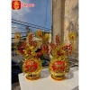 Cặp Dừa Dát Vàng Bính Ngọ 2.026 Thiết Kế Sang Trọng, Giá Ưu Đãi 499k