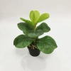 Cây Bàng Singapore Mini 35cm - Hoa Giả Trang Trí Lizflower, Giá 36.000, Không Chậu 3