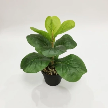 Cây Bàng Singapore Mini 35cm - Hoa Giả Trang Trí Lizflower, Giá 36.000, Không Chậu 3 Cây Bàng Singapore Mini 35cm - Hoa Giả Trang Trí Lizflower, Giá 36.000, Không Chậu 3