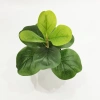 Cây Bàng Singapore Mini 35cm - Hoa Giả Trang Trí Lizflower, Giá 36.000, Không Chậu 4