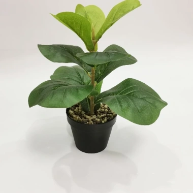 Cây Bàng Singapore Mini 35cm - Hoa Giả Trang Trí Lizflower, Giá 36.000, Không Chậu