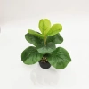 Cây Bàng Singapore Mini 35cm - Hoa Giả Trang Trí Lizflower, Giá 36.000, Không Chậu 6