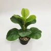 Cây Bàng Singapore Mini 35cm - Hoa Giả Trang Trí Lizflower, Giá 36.000, Không Chậu 7