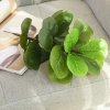 Cây Bàng Singapore Mini 35cm - Hoa Giả Trang Trí Lizflower, Giá 36.000, Không Chậu 9
