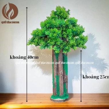 Cây Bonsai Cổ Thụ Quế Tâm Decor - Trang trí chụp ảnh, hồ cá, bàn làm việc - 89.000₫ 2 Cây Bonsai Cổ Thụ Quế Tâm Decor - Trang trí chụp ảnh, hồ cá, bàn làm việc - 89.000₫ 2
